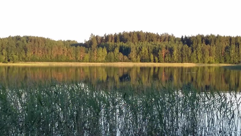 Lakehouse Saimaa B&B Taipalsaari Kültér fotó